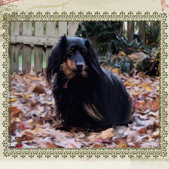 This is filled - please see new Meet the Posher" - Picture 5 of 5